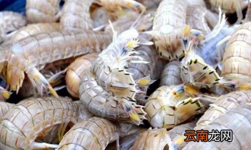 吃了虾线对身体有什么危害