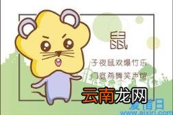 1996年属鼠是什么命 1996年属什么生肖