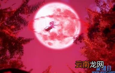 13种魂环颜色含义 灰色魂环是多少年