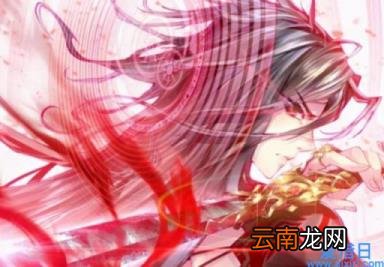 13种魂环颜色含义 灰色魂环是多少年