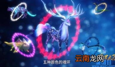 13种魂环颜色含义 灰色魂环是多少年