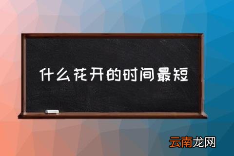 什么花开的时间最短 世界上花期最短的花？