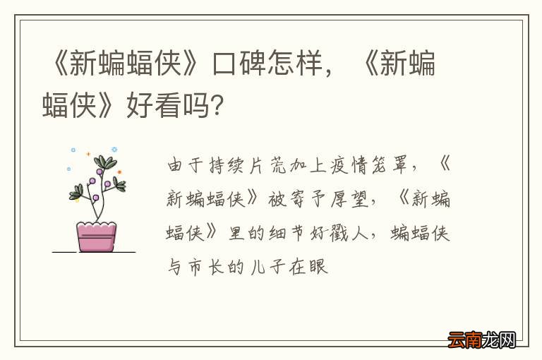 《新蝙蝠侠》口碑怎样，《新蝙蝠侠》好看吗？