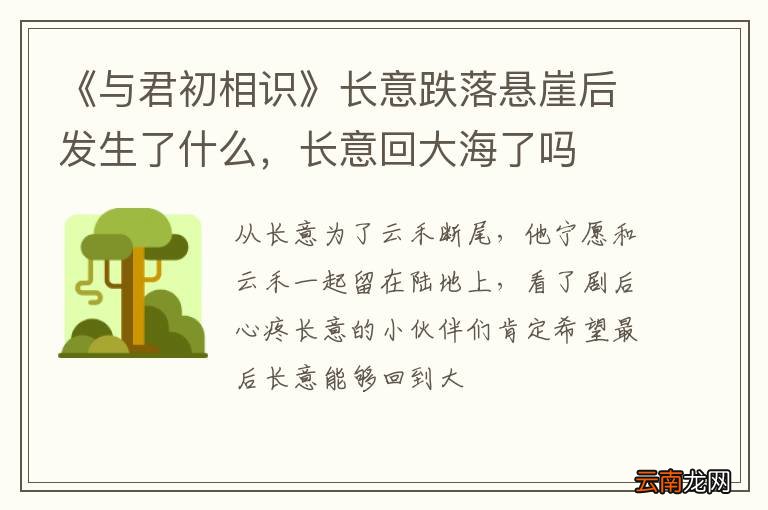 《与君初相识》长意跌落悬崖后发生了什么，长意回大海了吗
