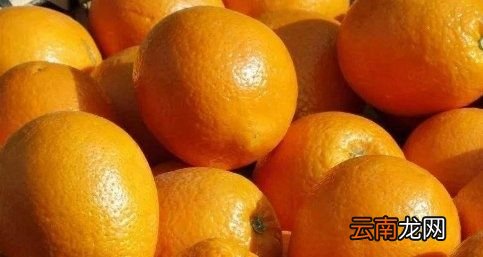 橙子有什么营养价值及功效