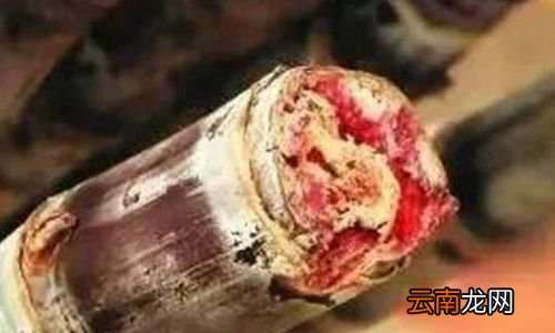 怀孕甘蔗变红了能吃吗