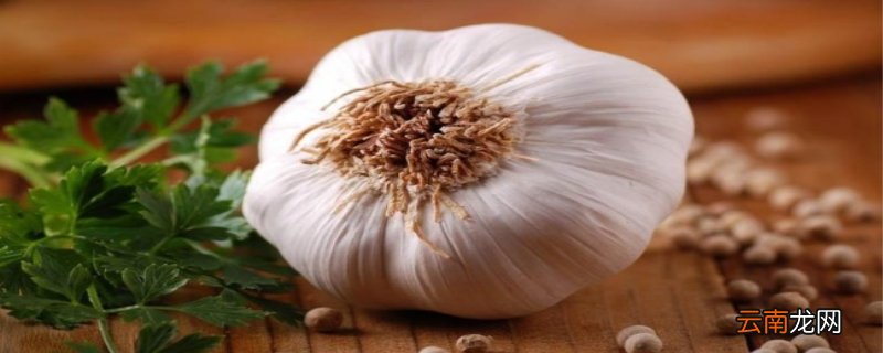 春天可以种大蒜吗 春天可以种大蒜吗?