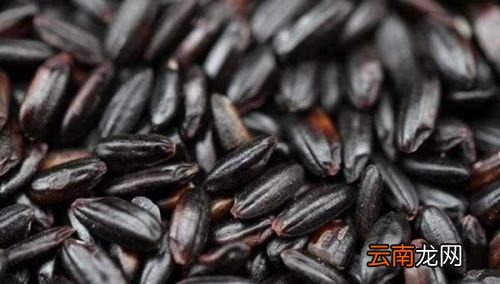 黑米有什么功效和作用