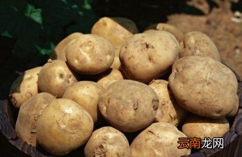 土豆绿色的皮削掉能吃吗