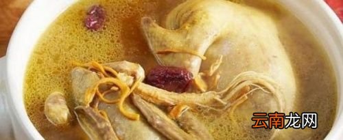 鸽子肉为什么不建议吃