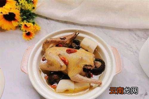 鸽子肉为什么不建议吃