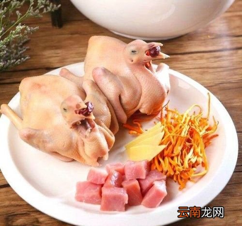 鸽子肉为什么不建议吃