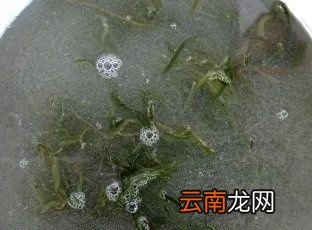 盐渍海带的盐是什么盐