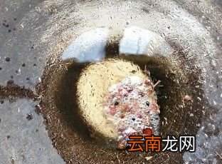 盐渍海带的盐是什么盐