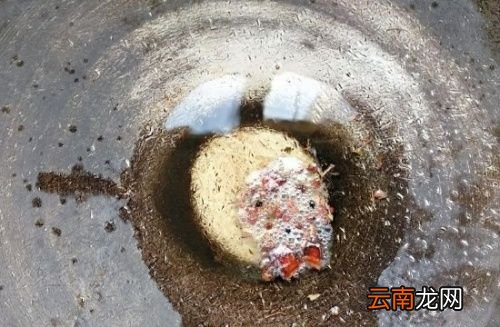 盐渍海带的盐是什么盐