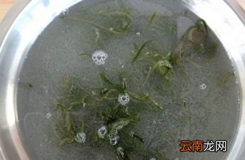盐渍海带的盐是什么盐
