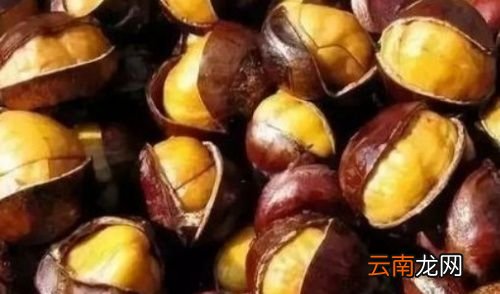 板栗不能和什么一起吃