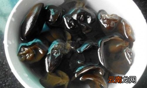 木耳在冰箱里冰冻后有毒吗