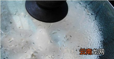 牛肉羊肉可以一起炖吃吗
