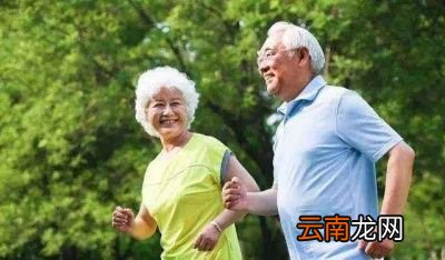人为什么可以长寿呢