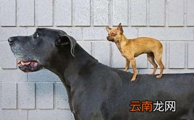 人为什么可以长寿呢