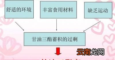 如何降低甘油三酯我们可以通过下面这3种方法