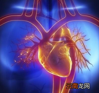 什么是甘油三酯