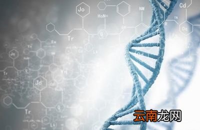 降低甘油三酯的“冠军”是谁