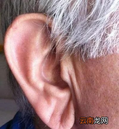 怎么才能降低甘油三酯水平呢
