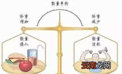 节食减肥对身体有哪些危害