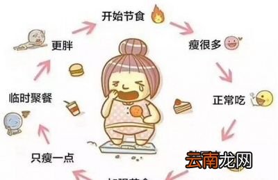 节食减肥对身体有哪些危害