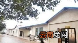 感染非洲猪瘟猪需要为什么药物