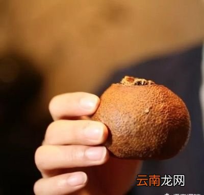陈皮普洱是什么茶