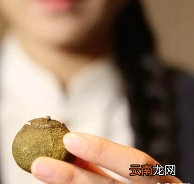 陈皮普洱是什么茶