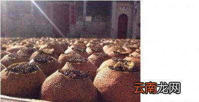 陈皮普洱是什么茶