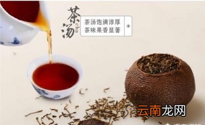 陈皮普洱是什么茶