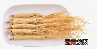 人参为什么能减肥
