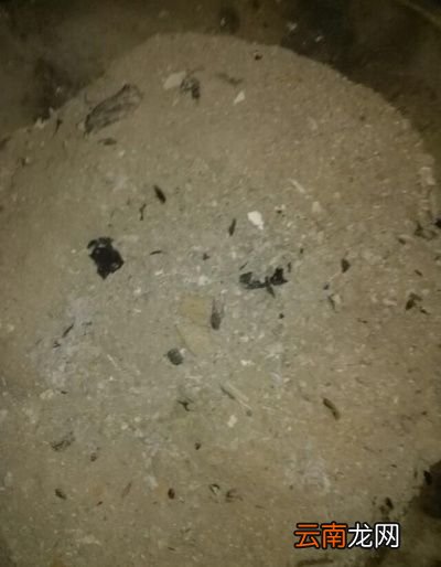 草木灰适合哪些蔬菜呢