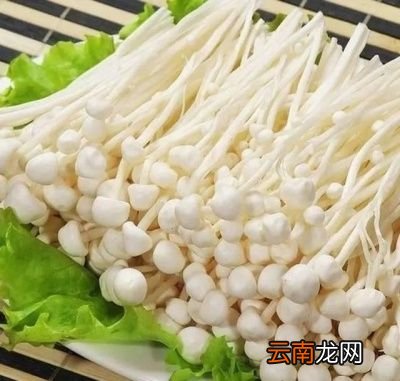 炖猪蹄儿可以加金针菇吗