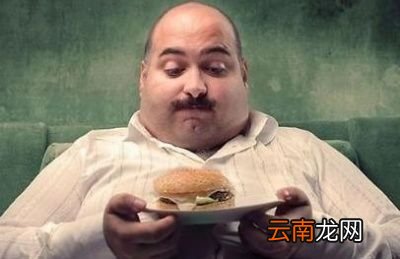减肥的时候为什么会出现饥饿感