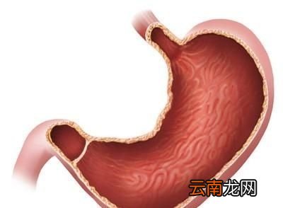 减肥必须饿肚子吗