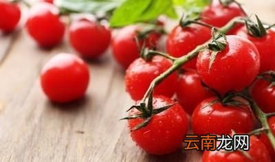 减肥必须饿肚子吗