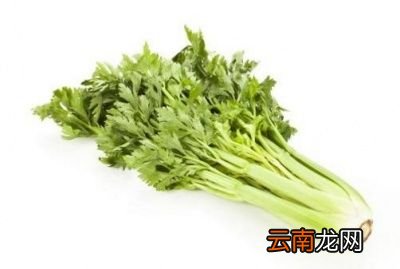 高血压吃芹菜有道理吗