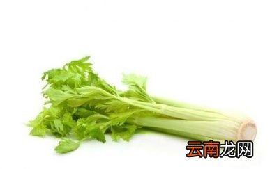 高血压吃芹菜有道理吗