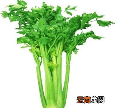 高血压吃芹菜有道理吗