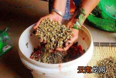西瓜酱做法和步骤