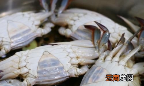 清蒸螃蟹一般蒸几分钟