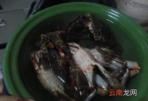 螃蟹烧多久就可以吃了
