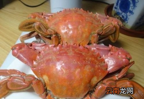 螃蟹烧多久就可以吃了
