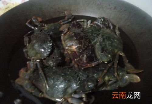 螃蟹烧多久就可以吃了